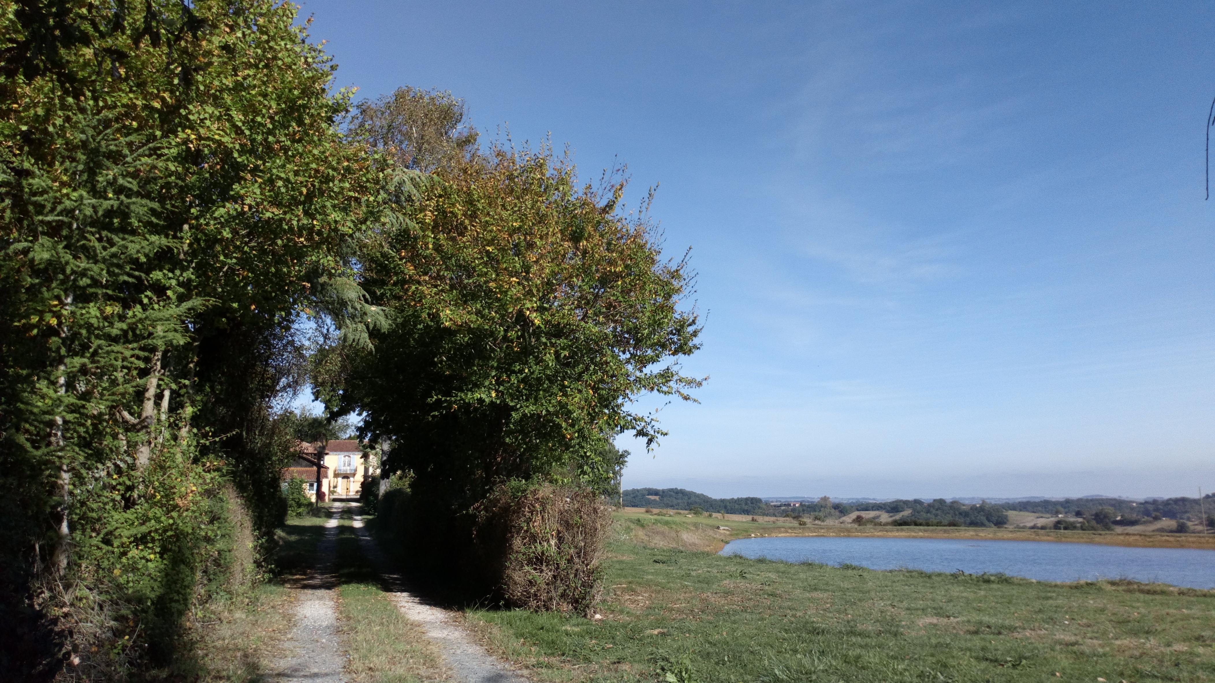 DSC_0998.jpg