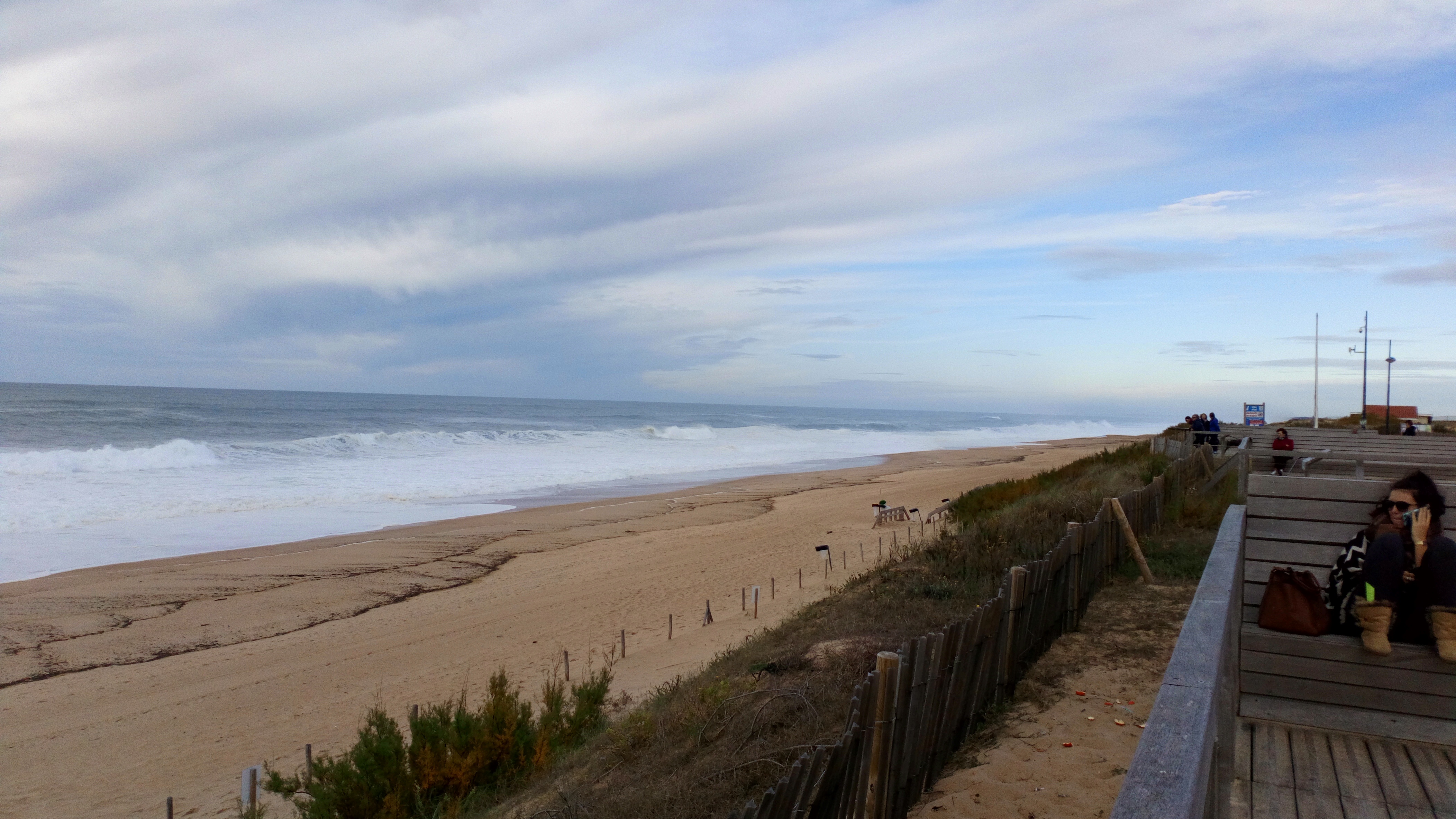 DSC_1065.jpg