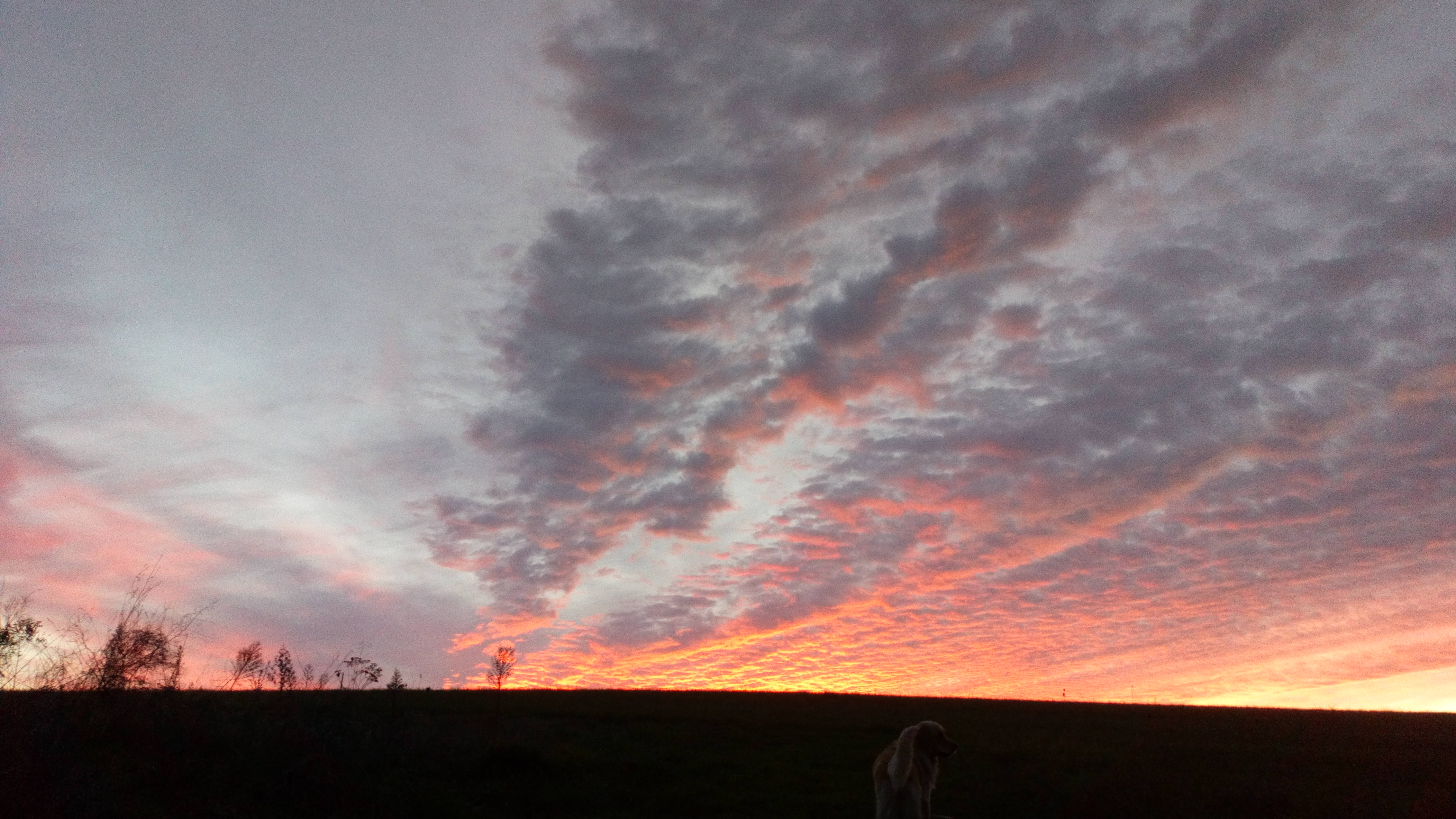 DSC_1182.jpg