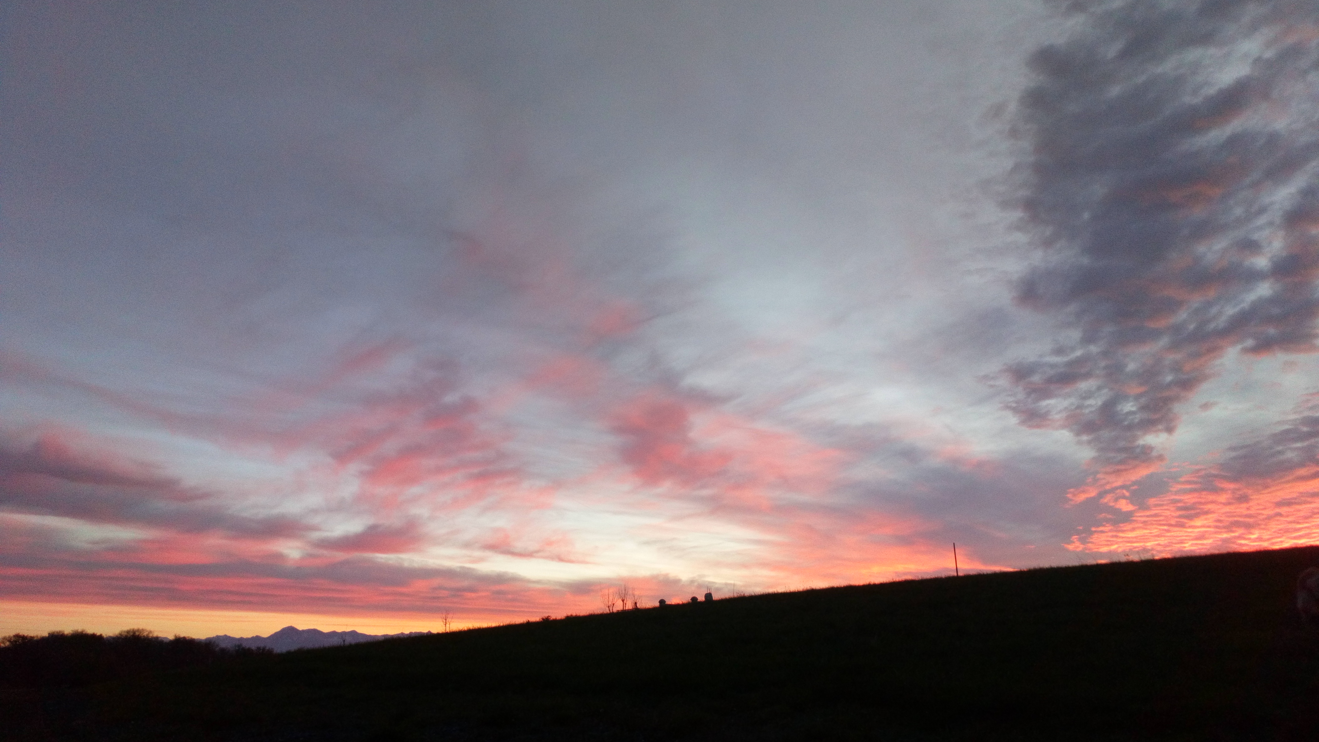 DSC_1183.jpg