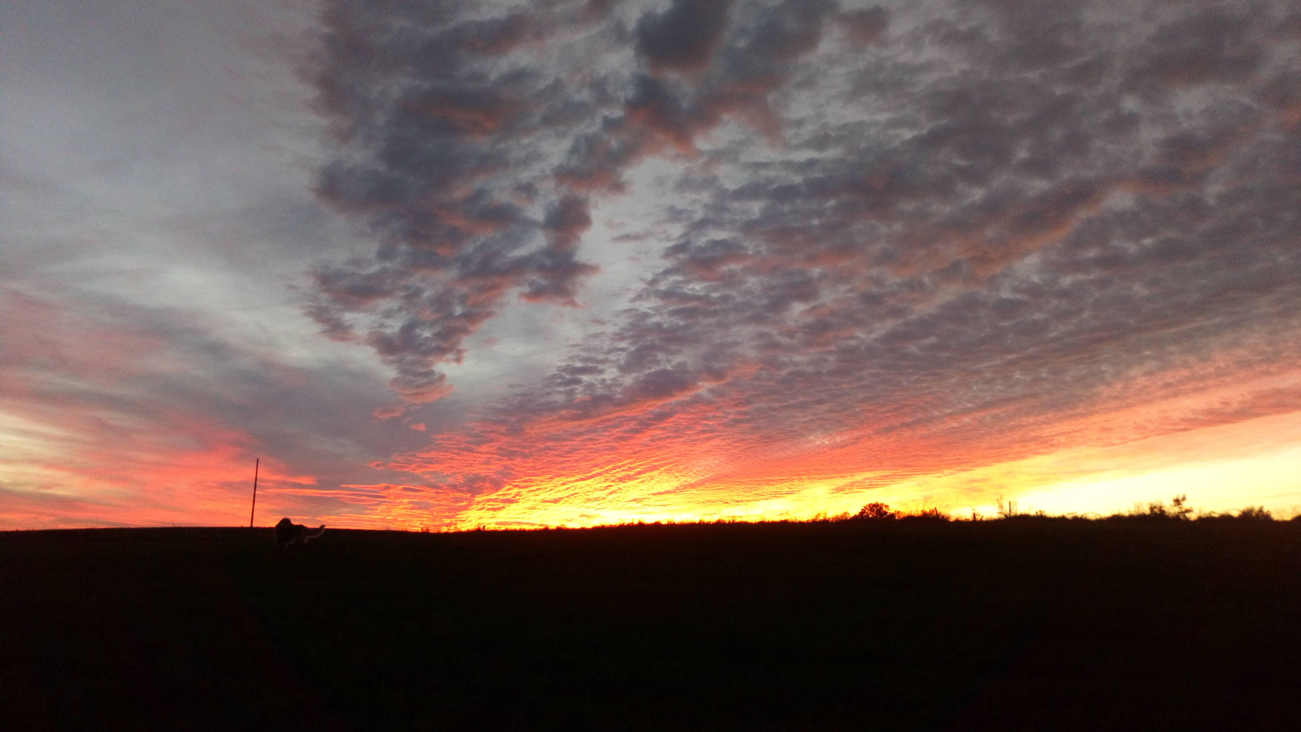 DSC_1185.jpg