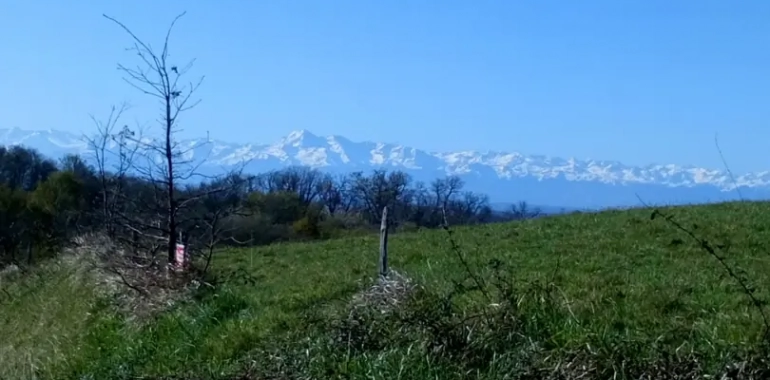 Les Pyrénées